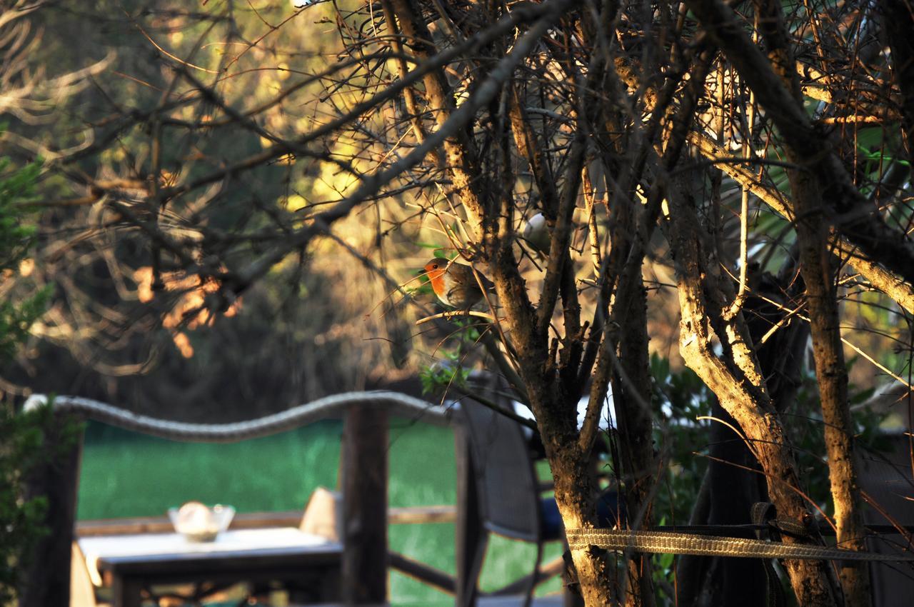 Lethe Exclusive Hotel (Adults Only) Ağva Kültér fotó